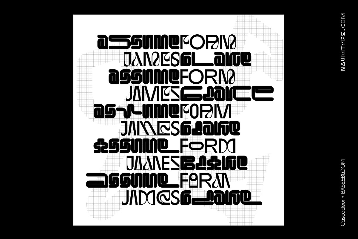 Cascadeur Variable | 20 fonts, a Sans Serif Font by NAUM (Photo 13 of 15)