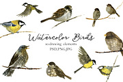 Watercolor Birds, an Animal Illustration by cat_arch_angel (Thumbnail 1 of 2)