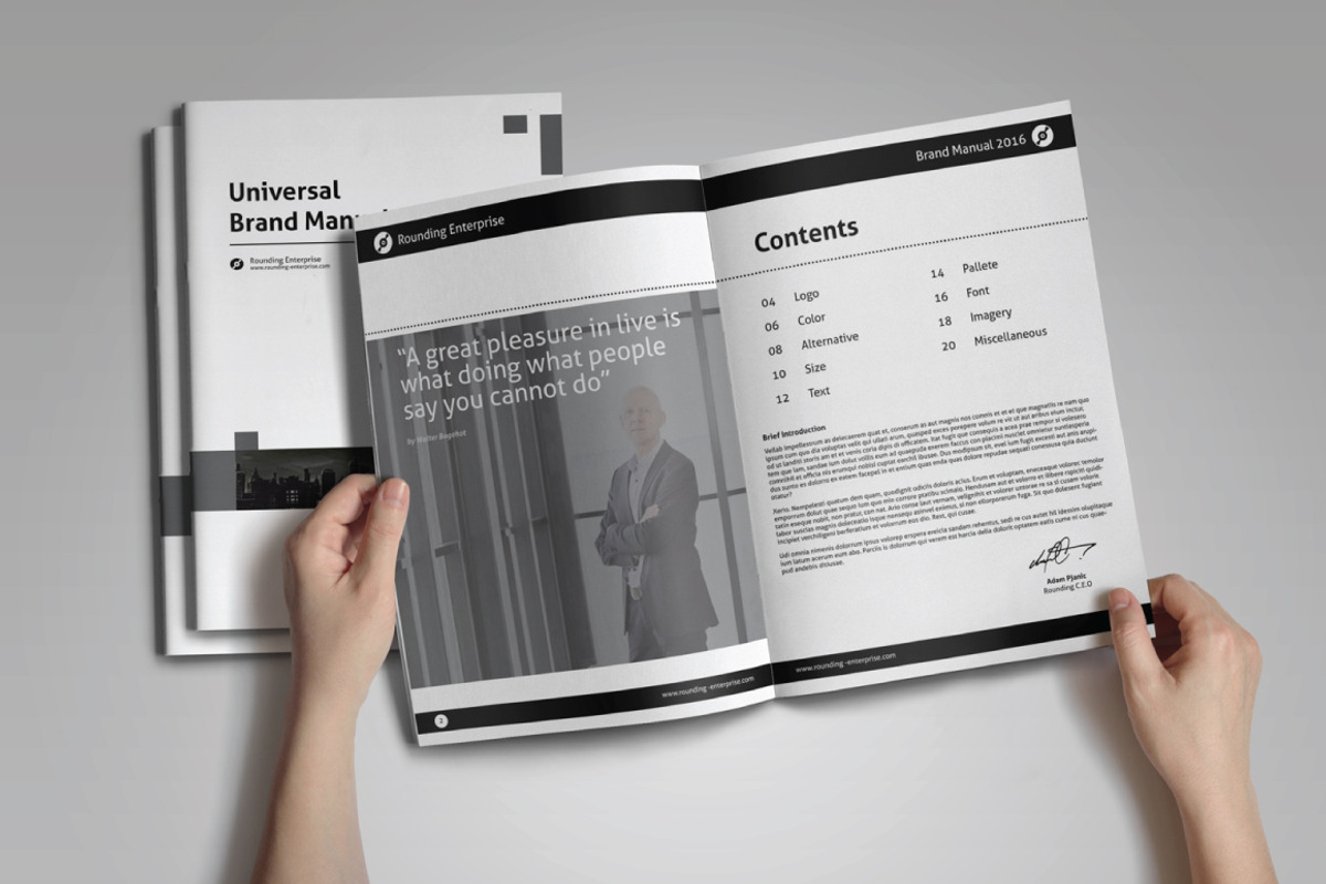 Universal Brand Manual, a Brochure Template by voryu (Photo 2 of 6)