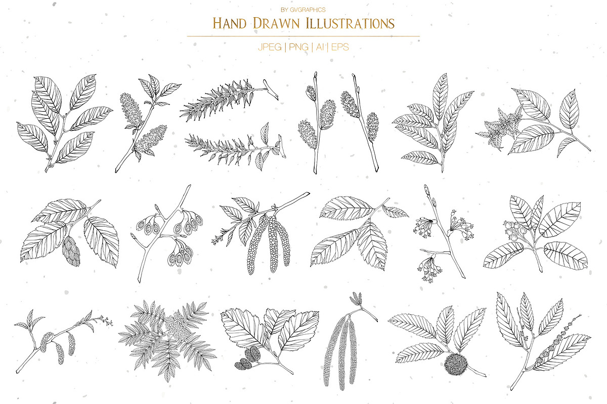 Branches, Leaves and Berries Vol. 2, a Seasonal Illustration by GVGraphics (Photo 7 of 12)