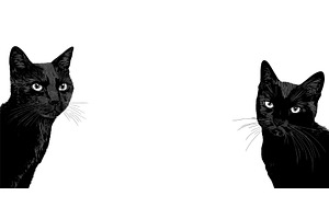 Banner with black cats. Dark cat, an Illustration by Valerie Bodnar