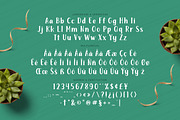 Absolute - Playful Display Font, a Font by Fype Co. (Thumbnail 5 of 5)