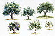 Olive Watercolor Clipart, a Food Illustration by Douce Créativité (Thumbnail 2 of 6)