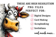 Funny Peeking Valentine Cow Clipart, an Illustration by OK Design (Thumbnail 6 of 6)