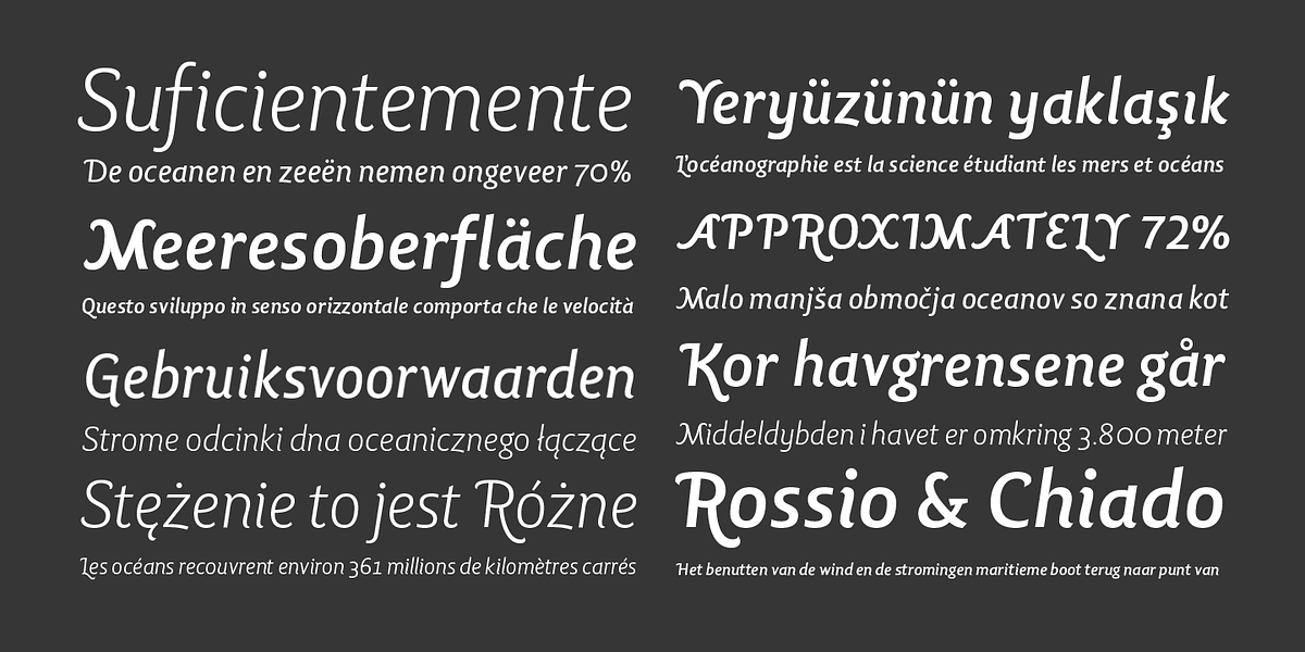 Lisboa Swash, a Sans Serif Font by Vanarchiv (Photo 4 of 4)