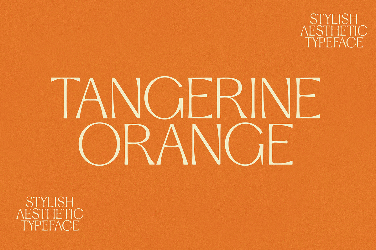 Stylish Aesthetic Typeface, a Sans Serif Font by Nicky Laatz (Photo 14 of 29)