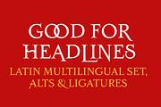 Salamanca TF Roman, a Serif Font by TypeFaith Fonts (Thumbnail 2 of 12)