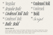 Timeless Editorial - Elegant Serif, a Script Font by AndrewPixelType (Thumbnail 17 of 17)