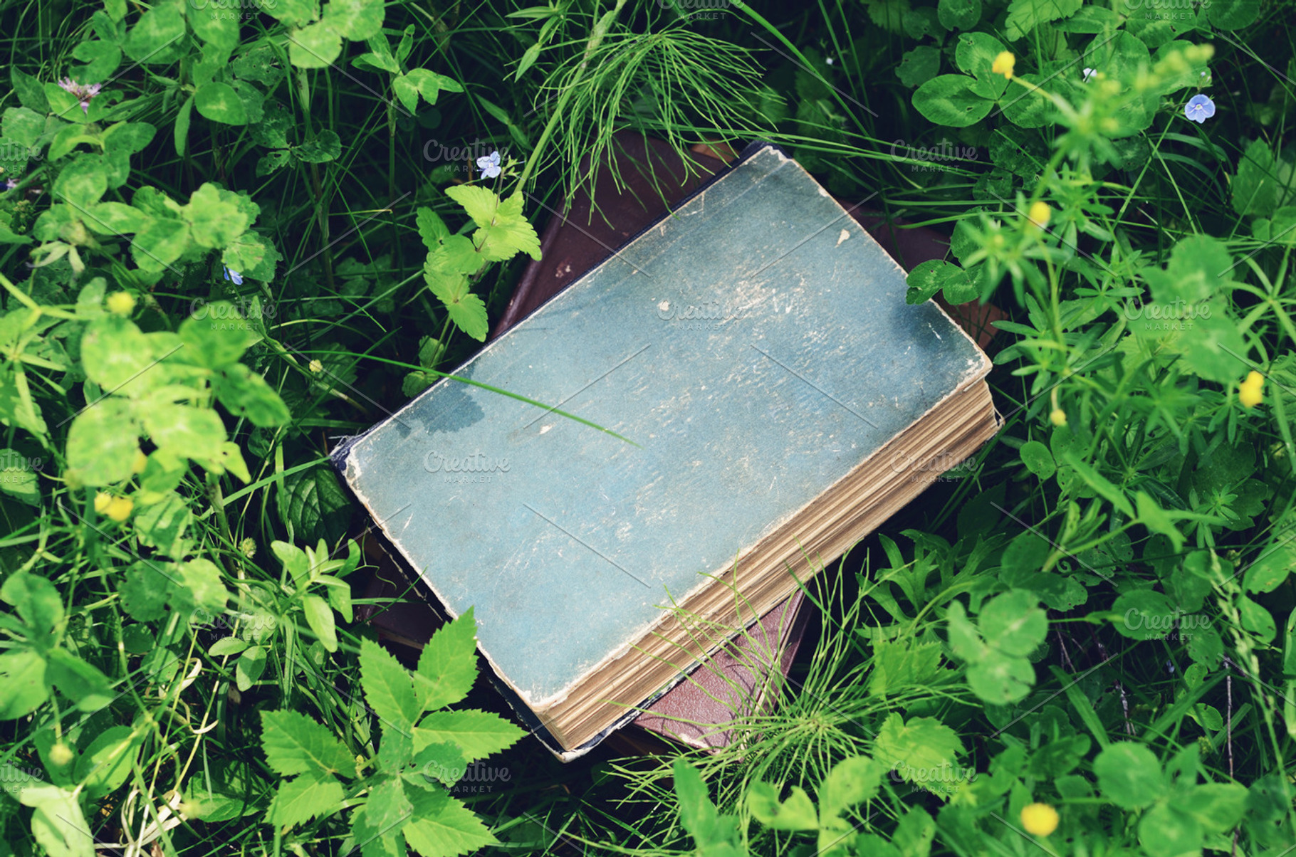 Books featuring books, summer, and reading, an Arts & Entertainment Photo by so_lizaveta