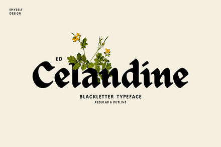 ED Celandine Typeface, a Blackletter Font by Emyself Design