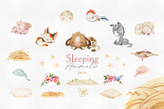 Sleeping Animals Collection, an Animal Illustration by StarJam (Thumbnail 7 of 8)
