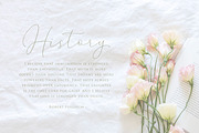 Mindline Script, a Script Font by Barland Design (Thumbnail 10 of 12)