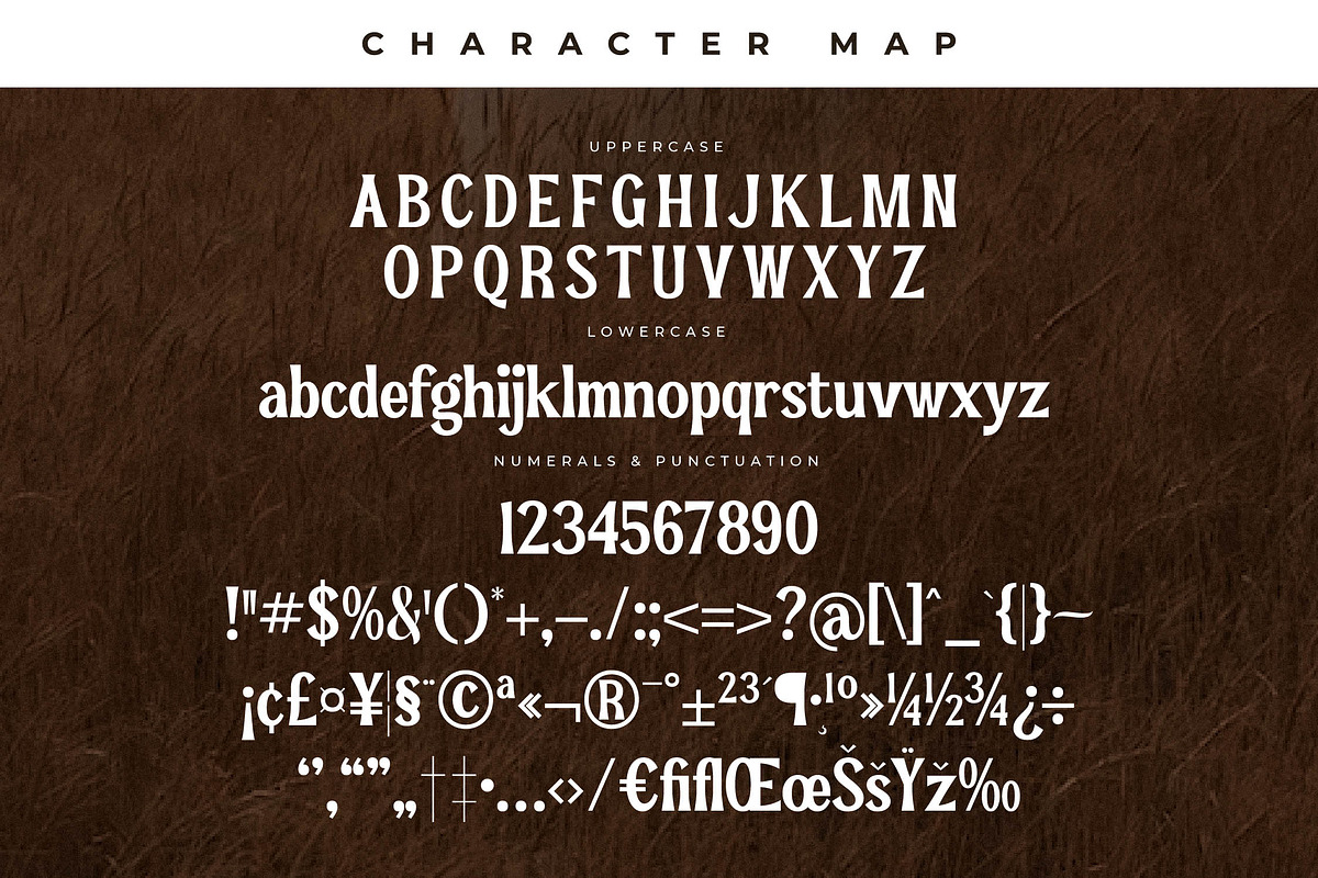 Pearl Hirenha Modern Serif, a Serif Font by Storytype Studio (Photo 13 of 15)