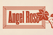 Rama Slab, a Slab Serif Font by Dharma Type (Thumbnail 5 of 10)