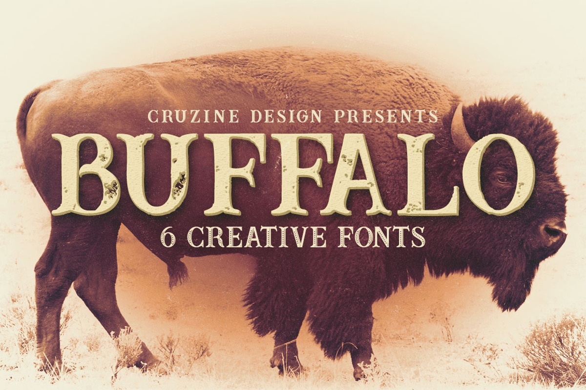 SALE Bundle 249 Fonts & 414 Logos preview 8