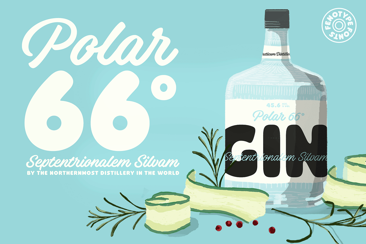 Omnipop Type Family Intro offer, a Script Font by Fenotype (Photo 6 of 12)