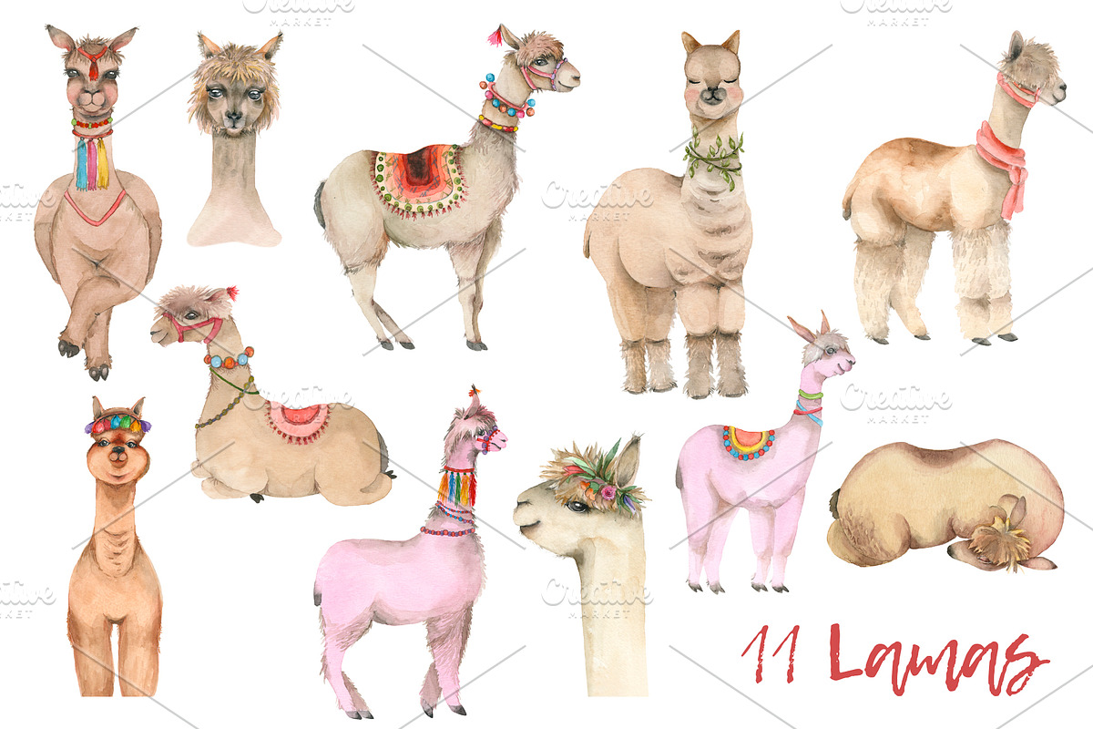 Lama in cactus collection, an Animal Illustration by IvanFet (Photo 2 of 5)