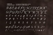 Denamola - Elegant Script Font, a Serif Font by Qweera Studio (Thumbnail 12 of 12)
