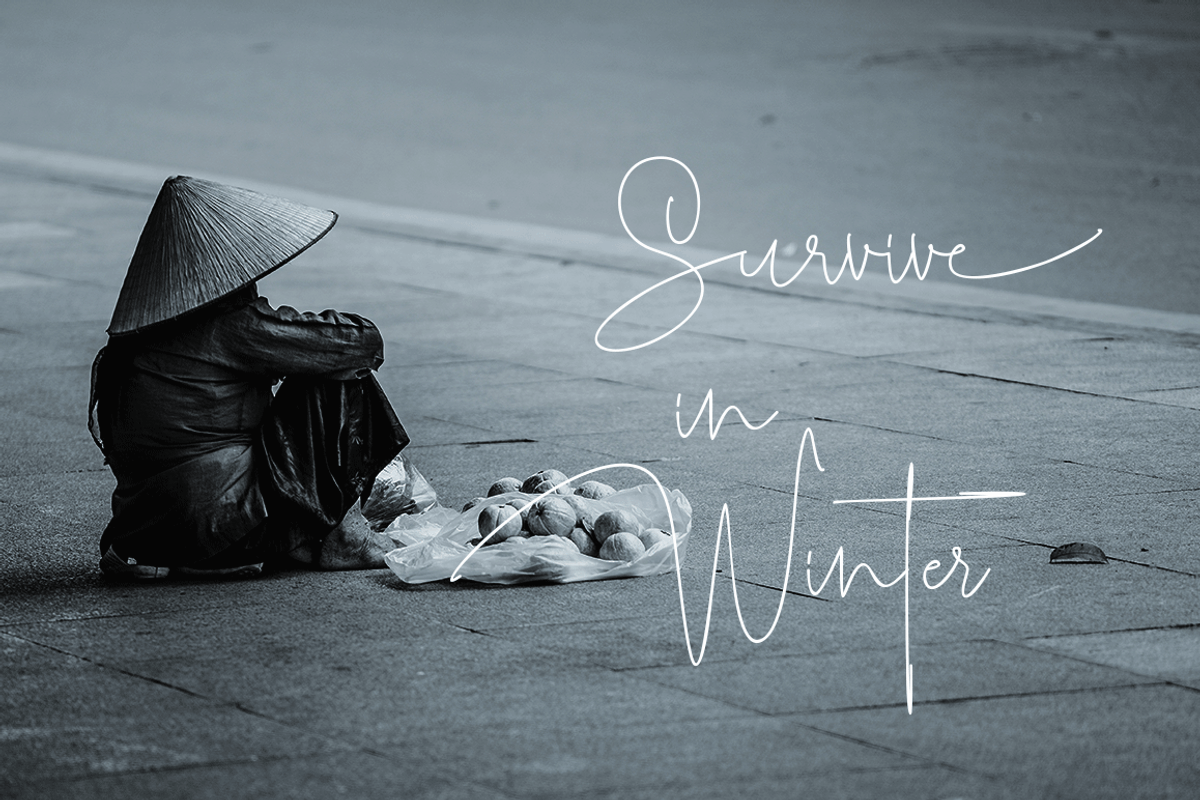 Roselle, a Script Font by GRAPHICPRESS (Photo 8 of 9)