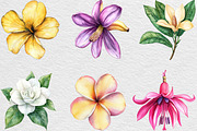 Watercolor Flowers Tropical PNG, an Illustration by Black Bird Studio (Thumbnail 4 of 6)