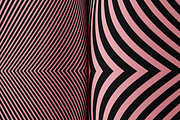 75 Warped Vectors, an Object Graphic by Texture Fabrik (Thumbnail 8 of 14)