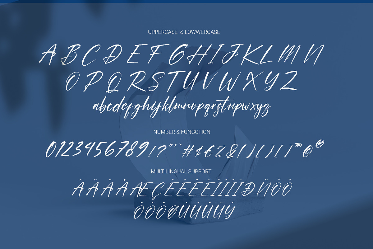 Hinora Signature Elegant Script Font, a Script Font by RHD Creative Studio (Photo 11 of 12)