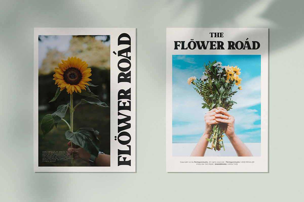 Morphins | Display Serif, a Serif Font by Pentagonistudio (Photo 7 of 11)
