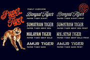 Paper Tiger Victorian Font Madness, a Script Font by Fenotype (Thumbnail 14 of 14)