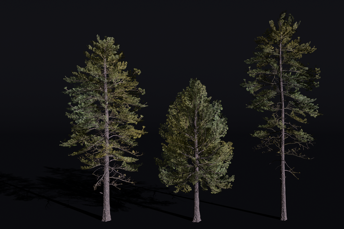 The European Pine Tree, a Plants & Tree 3D Model by FuturePastCreatives (Photo 5 of 6)