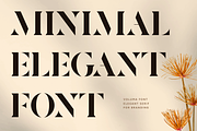 VOLUMA - Simple Elegant Display Font, a Serif Font by Pekotype (Thumbnail 2 of 11)