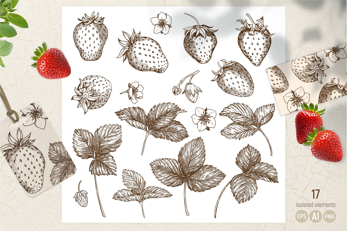 Strawberry. Engraving style vector, a Food Illustration by Tata Pilip (Photo 2 of 6)