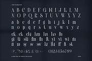 Helkina Stylish Serif Font, a Serif Font by Perfectype (Thumbnail 7 of 8)