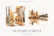 Autumn Forest, a Seasonal Illustration by PeDe Designs (Thumbnail 3 of 7)