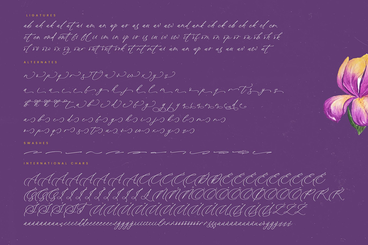 Betany Katepia Beauty Calligraphy, a Script Font by stylishtype.co (Photo 19 of 20)