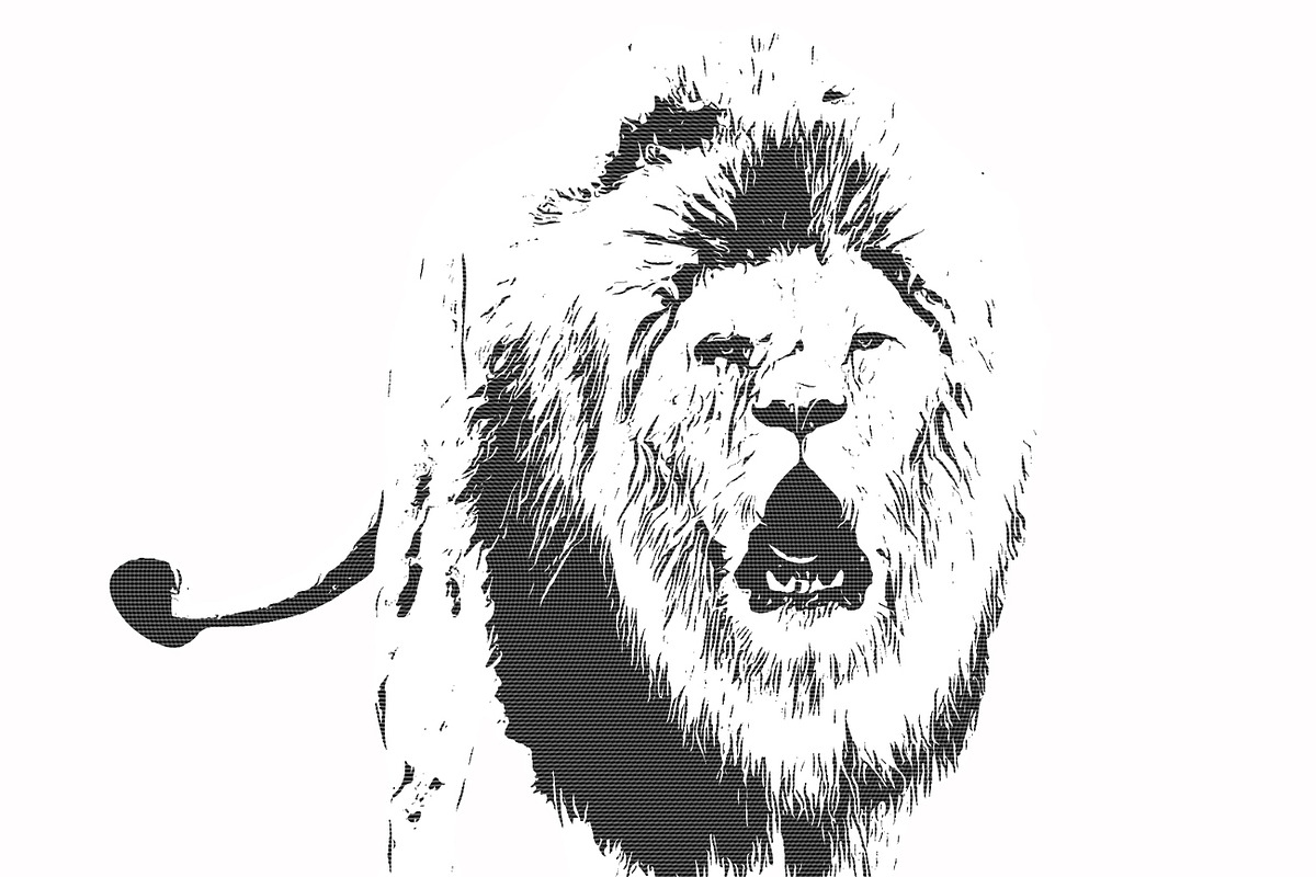 Vector Trace Photoshop Action, an Action Add-On by Studio Retouch (Photo 13 of 18)