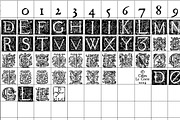 1585 Flowery initials, a Font by GLC Foundry (Thumbnail 2 of 2)
