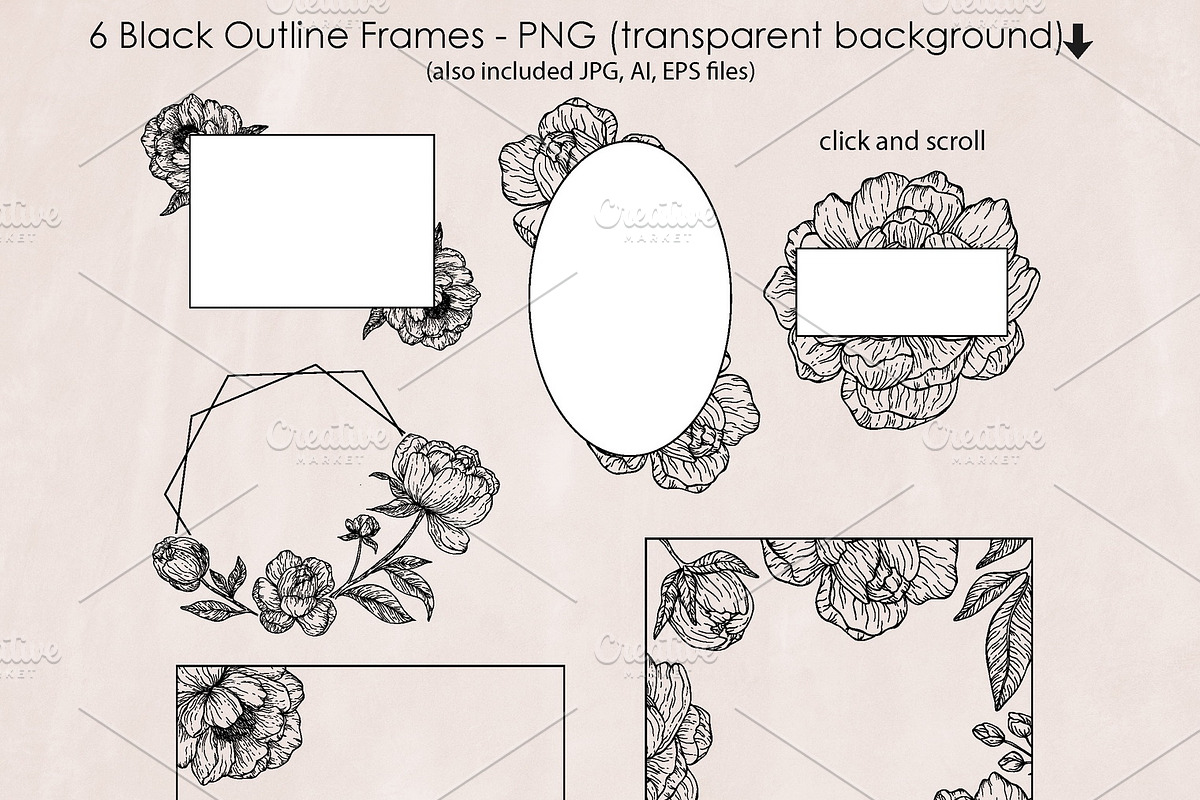 Black Outline Peony Flowers Set, an Illustration by ArtIrisArt (Photo 5 of 13)