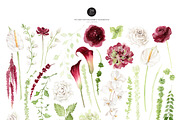 Watercolor Flower- AMARANTHUS, a Decorative Illustration by Beigetime (Thumbnail 3 of 15)