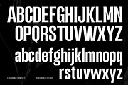 Rogbold – Modern Condensed Font, a Serif Font by Sronstudio (Thumbnail 12 of 13)