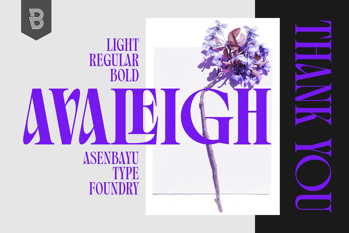 Avaleigh Fonts Family, a Serif Font by Asenbayu (Photo 14 of 14)