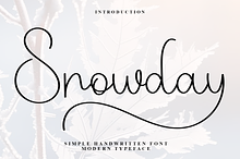 Snowday
