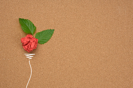 crumpled red sheet of brown paper and a green leaf on a brown ba, a Business Photo by ndanko