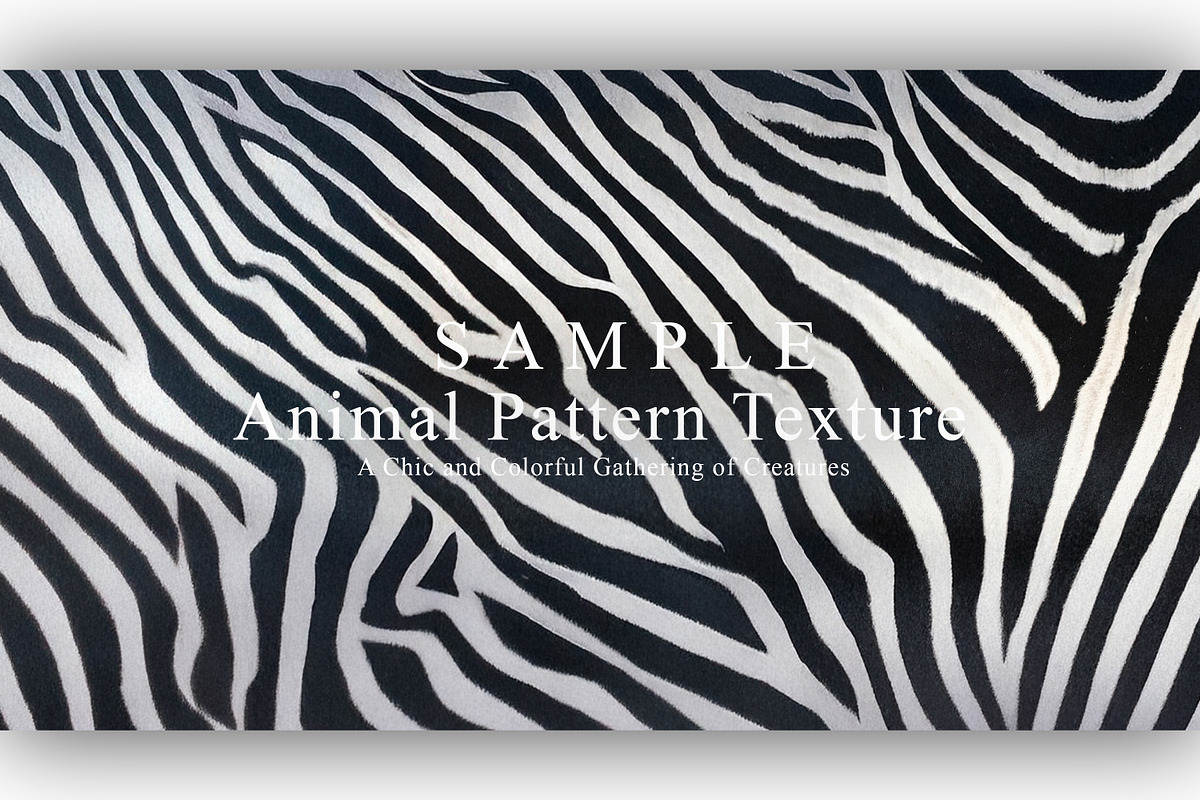 24 Animal Pattern Texture, a Background Graphic by NOMO DESIGN (Photo 4 of 24)