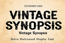 Vintage Synopsis