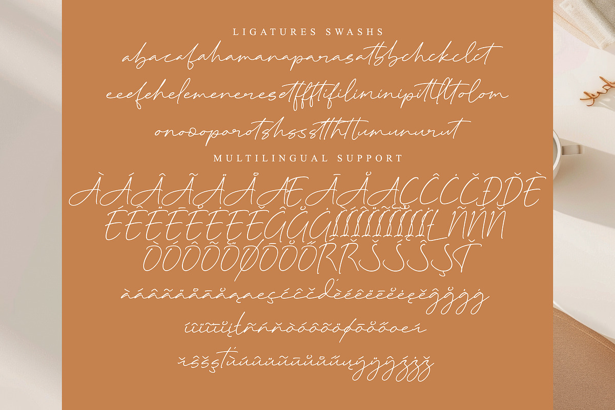 Astral Breakfast, a Script Font by operatype.co (Photo 13 of 15)