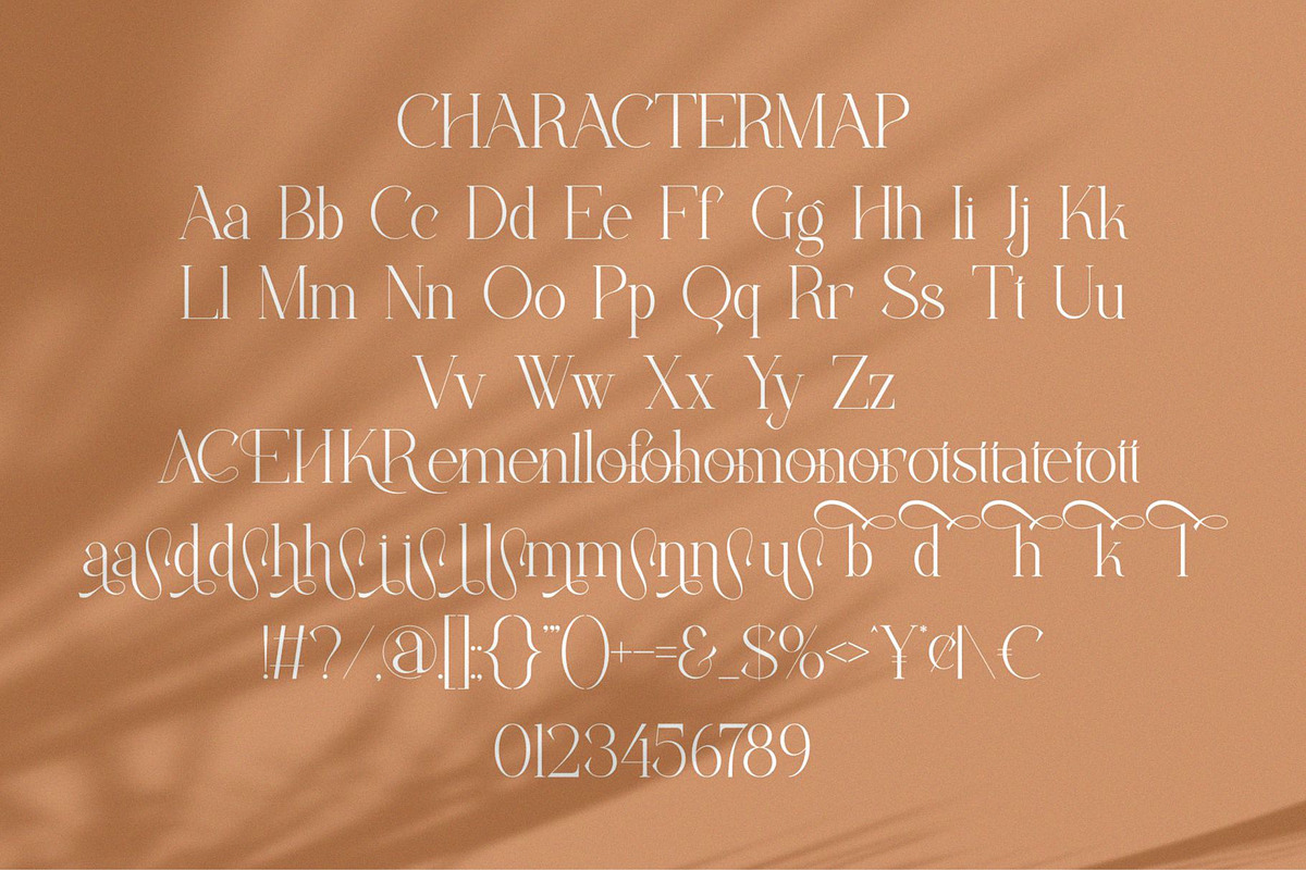 Rankim || Modern Classy Serif Font, a Serif Font by Ermedia Studio (Photo 10 of 10)