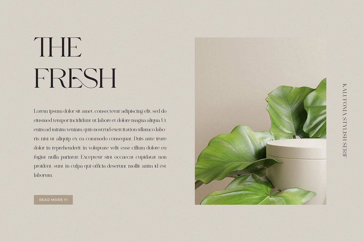 Kalufonia || Stylish Display Serif, a Serif Font by BrandSemut (Photo 12 of 14)