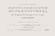 Bidena | Script Font, a Script Font by twinstd (Thumbnail 9 of 11)