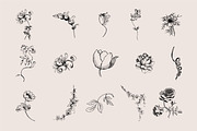 Vintage Frames SVG Clipart PNG, a Decorative Illustration by Anada Arty (Thumbnail 13 of 18)