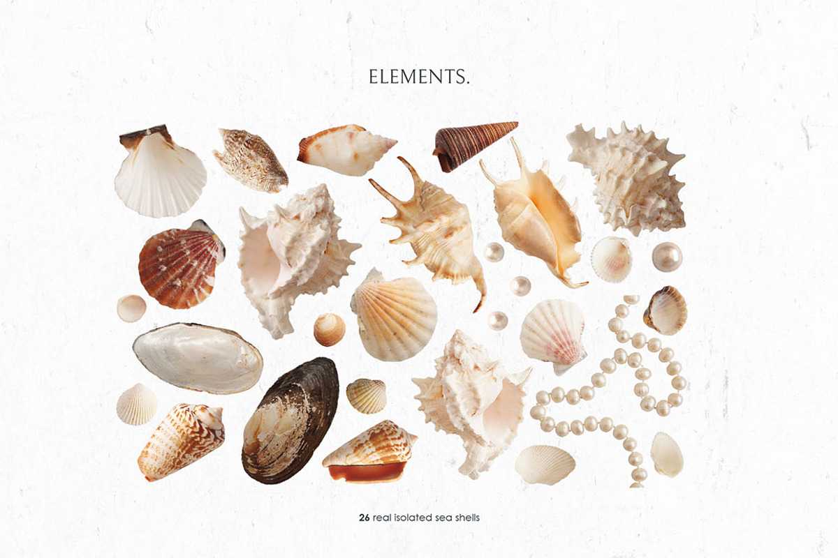 Sea and Desert paintings, a Texture Illustration by Dinkoobraz (Photo 11 of 13)